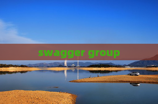 swagger group swagger group